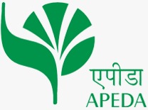 WhatsApp Image 2025-08-01 at 12.50.39_07c2a287