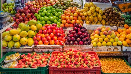 alexander-schimmeck-2zJhA9RSkys-unsplash